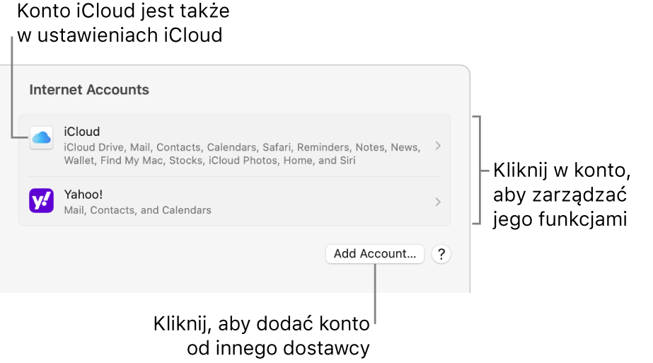 Ustawienia kont internetowych z listą kont skonfigurowanych na Macu.