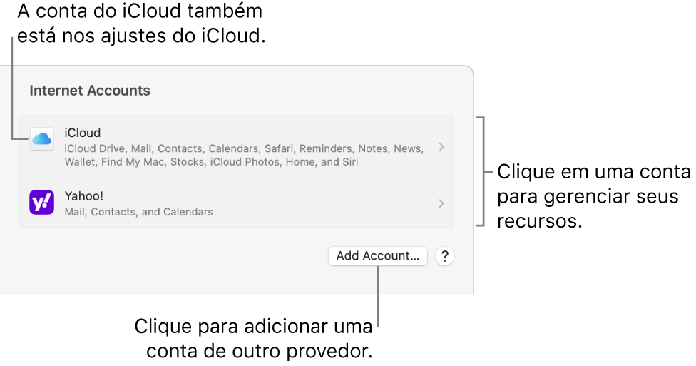 Os ajustes de Contas de Internet, com a lista das contas que estão configuradas no Mac.