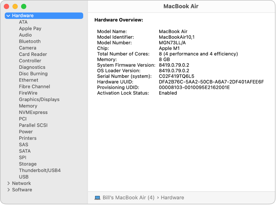 Secțiunea Informații hardware din cadrul unui raport de sistem.