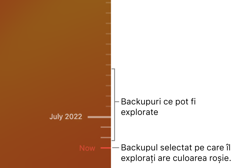 Bifele în cronologia de backup. Bifa roșie indică backupul pe care îl explorați.