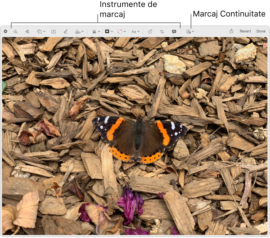 O imagine în fereastra Marcaj afișând bara de instrumente a instrumentelor de Marcaj și instrumentul pe care trebuie să faceți clic pentru a utiliza Marcaj Continuitate pe un iPhone sau iPad din apropiere.