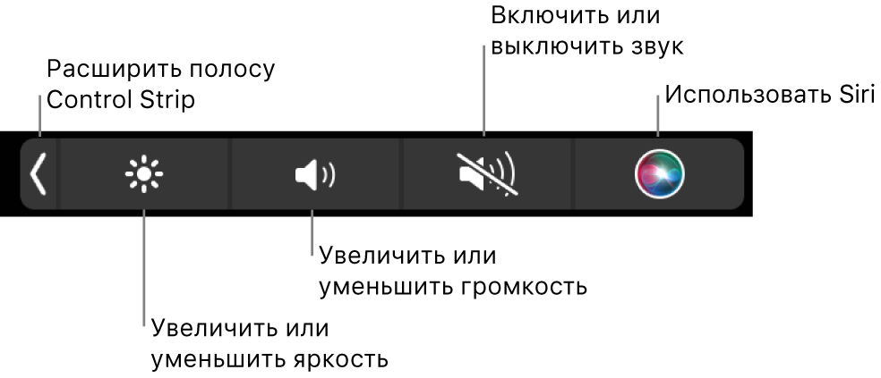 В свернутой полосе Control Strip есть следующие кнопки (слева направо): раскрытие Control Strip, увеличение и уменьшение яркости экрана и громкости, включение и выключение звука, использование Siri.