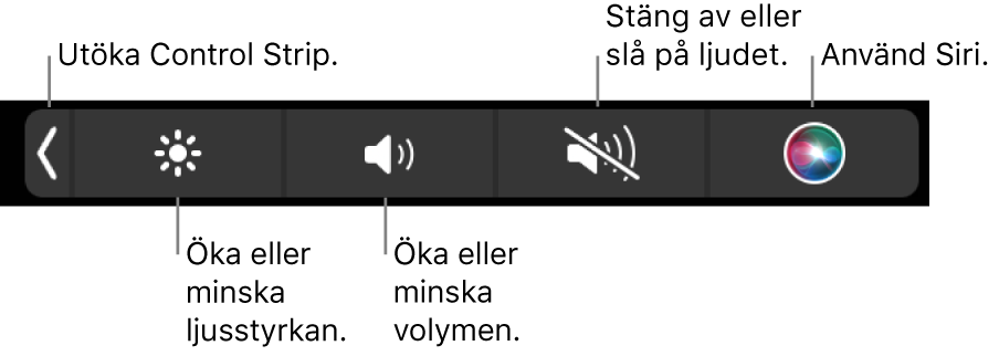 Hopfällda Control Strip innehåller knappar för att, från vänster till höger, utvidga Control Strip, öka eller minska ljusstyrkan på skärmen och volymen, stänga av eller slå på ljudet och använda Siri.