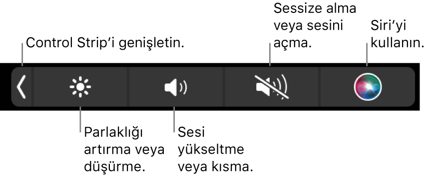 Daraltılmış Control Strip soldan sağa doğru, Control Strip’i genişletme, ekran parlaklığını ve ses yüksekliğini artırma veya azaltma, sesi kapatma veya açma ve Siri’yi kullanma düğmelerini içeriyor.