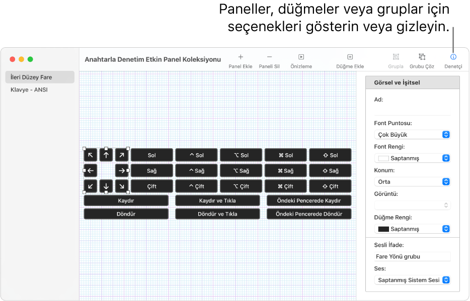 Araç çubuğunun sağ ucunda panel, düğme ve grup seçeneklerini ayarlamak için kullanılan Denetçi düğmesini gösteren Panel Koleksiyonu penceresi.