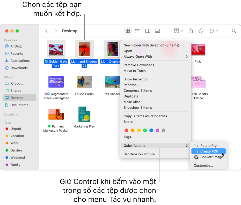 Cửa sổ Finder chứa các tệp và thư mục, nơi ba tệp được chọn, và Tạo tài liệu PDF được tô sáng trong menu Tác vụ nhanh.