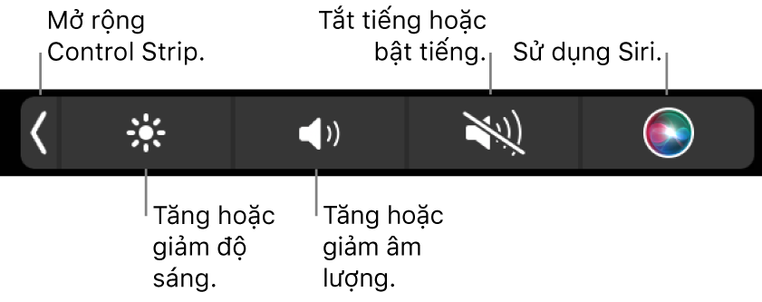 Control Strip được thu gọn bao gồm các nút – từ trái sang phải – để mở rộng Control Strip, tăng hoặc giảm độ sáng màn hình và âm lượng, tắt tiếng hoặc bật tiếng và sử dụng Siri.