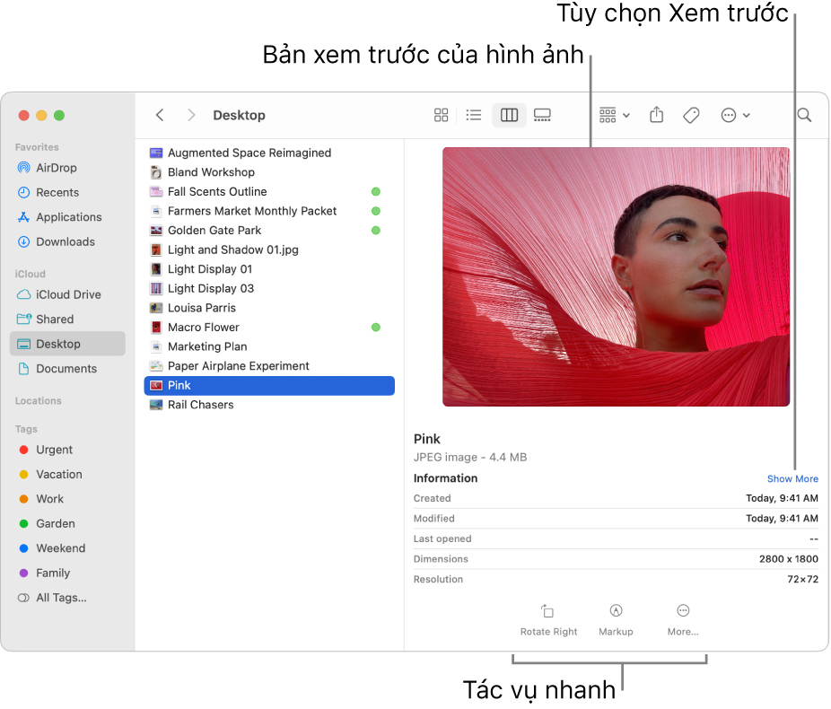 Cửa sổ Finder đang hiển thị thanh bên Finder ở bên trái và một tệp hình ảnh được chọn ở giữa của cửa sổ. Ở bên phải, khung Xem trước hiển thị giao diện hình ảnh, với thông tin chi tiết về hình ảnh ở bên dưới và các nút Tác vụ nhanh ở dưới cùng.