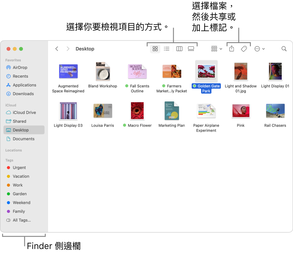 Finder 視窗，左側顯示 Finder 側邊欄。在視窗的最上方有四個可更改項目在視窗中顯示方式的按鈕，以及其他用於整理和分享項目的按鈕。