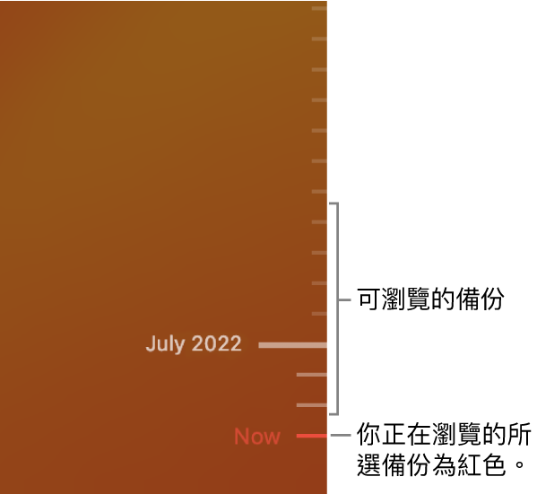 備份時間軸中的刻度。紅色的剔選符號表示你正在瀏覽的備份。