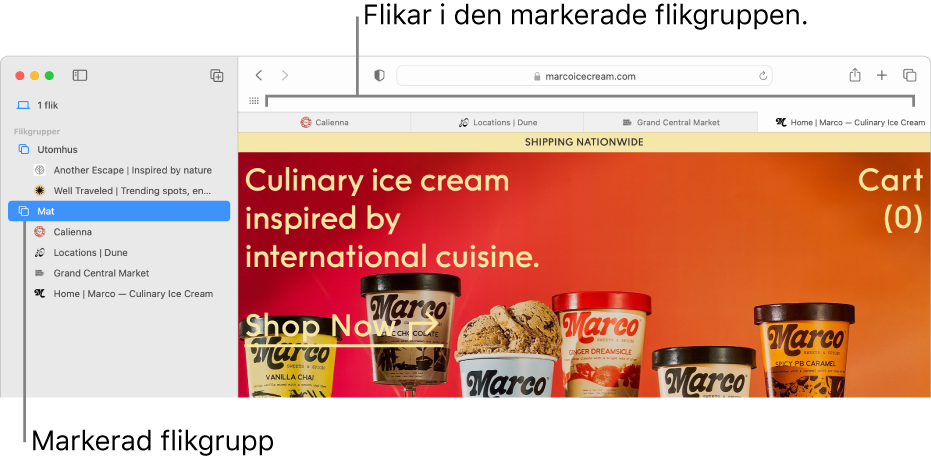 Ett Safari-fönster som visar sidofältet med en markerad flikgrupp.