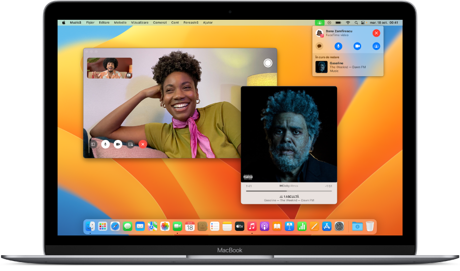 lose faint Briefcase Manual de utilizare FaceTime pentru Mac - Apple Support (RO)