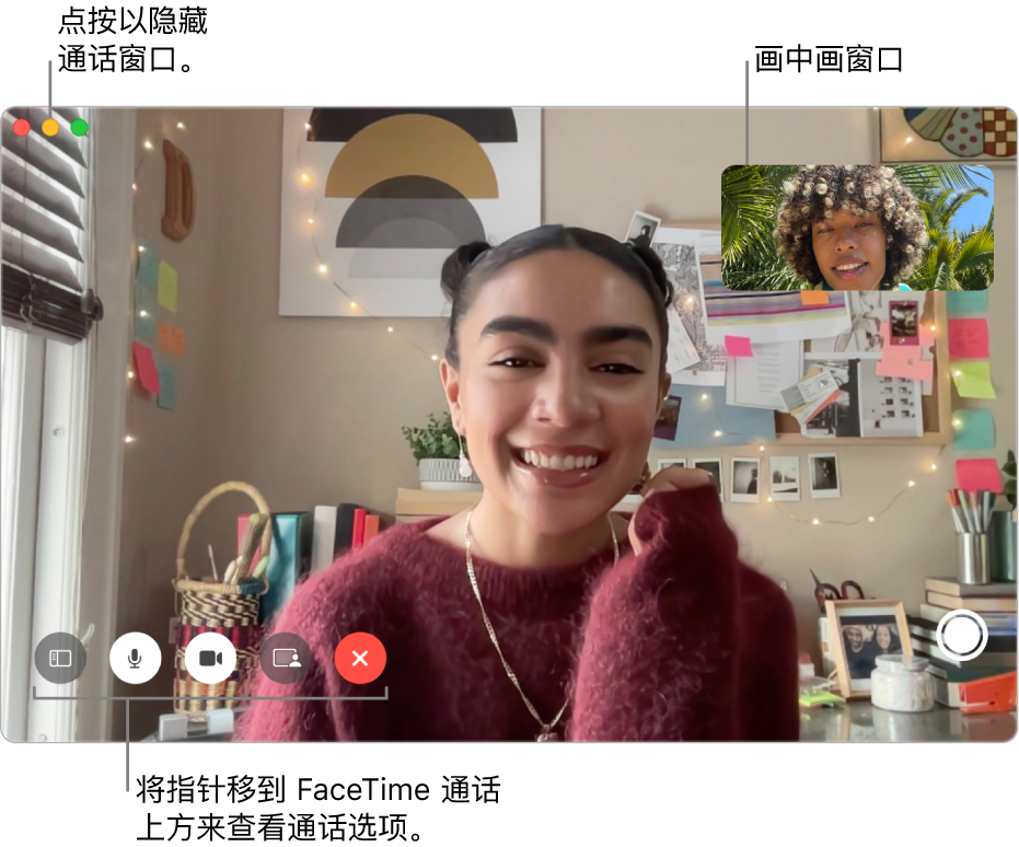 将指针移到 FaceTime 通话窗口上来查看“边栏”、“静音”、“静音视频”、“屏幕共享”、“结束通话”和“实况照片”按钮。点按左上角的中间按钮以隐藏通话窗口。画中画窗口显示在右上方。