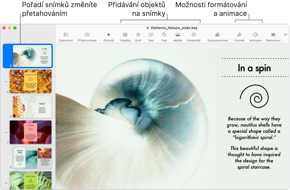 Okno aplikace Keynote se snímkovým navigátorem a s pokyny pro změnu pořadí snímků na levé straně, panelem nástrojů pro úpravy nahoře, tlačítkem Spolupracovat poblíž pravého horního rohu a tlačítky Formát a Animace vpravo