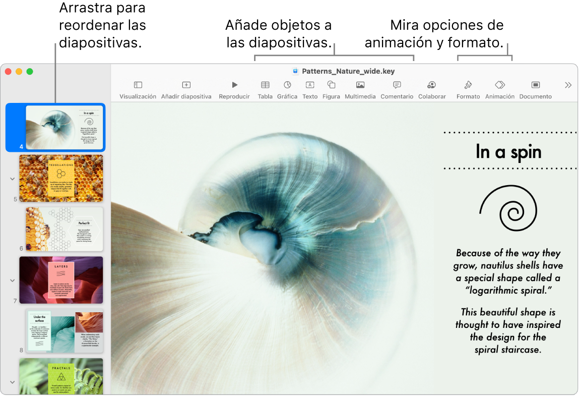 Una ventana de Keynote que muestra el navegador de diapositivas en el lado izquierdo y cómo reordenar diapositivas, la barra de herramientas y sus herramientas de edición en la parte superior, el botón Colaborar cerca de la parte superior derecha y los botones Formato y Animación en la parte derecha.