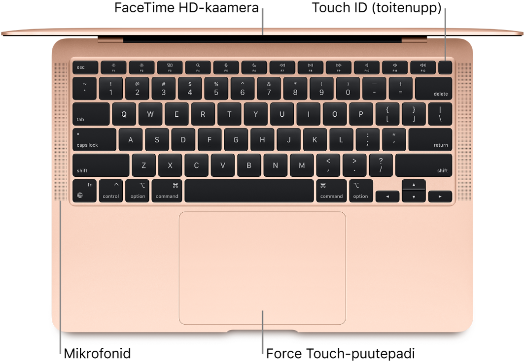 Ülaltvaade avatud MacBook Airile väljaviikudega FaceTime HD-kaamerale, Touch ID-le (toitenupule), mikrofonidele ja Force Touch-puuteplaadile.