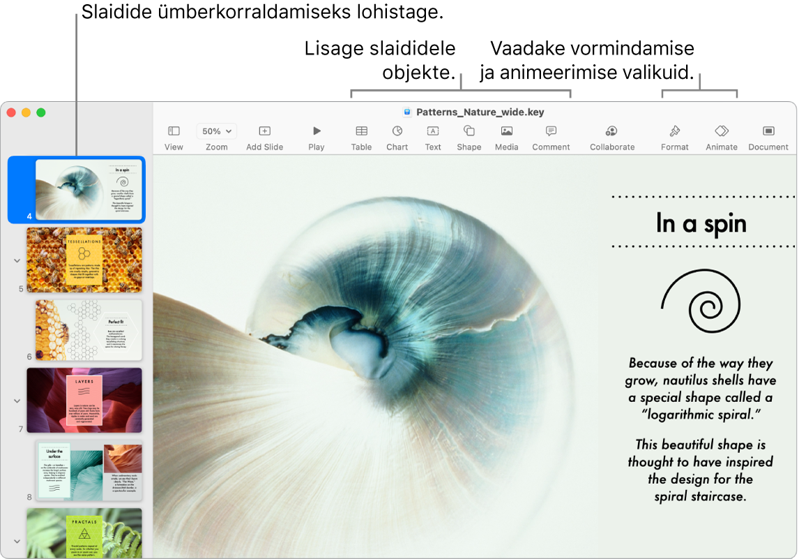 Keynote'i aknas kuvatakse vasakul slaidijaotist ning näidatakse kuidas slaide ümber korraldada, üleval on tööriistariba ja selle töötlustööriistad, üleval paremal osas nupp Collaborate ning paremal nupud Format ja Animate.