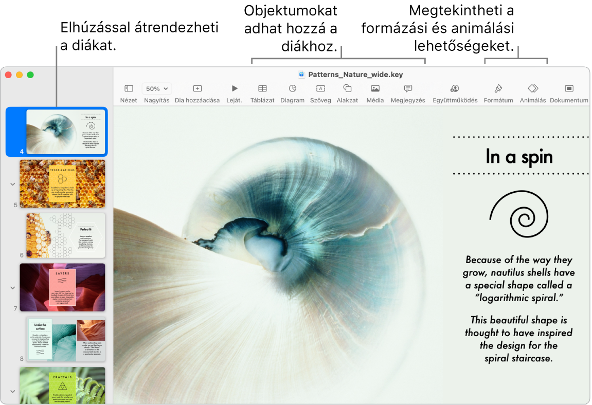 A Keynote ablaka a dianavigátorral és a diák átrendezésére szolgáló lehetőségekkel a bal oldalon, az eszközsor a szerkesztési eszközökkel a felső részen, az Együttműködés gombbal a jobb felső sarokban és a Formázás és Animálás gombokkal a jobb oldalon.