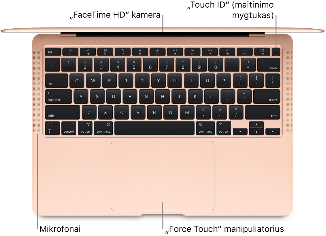 „MacBook Air“ vaizdas iš viršaus, matomos „FaceTime“ HD vaizdo kameros, mikrofonų, „Touch ID“ (maitinimo mygtuko) ir „Force Touch“ jutiklinio pulto nuorodos.