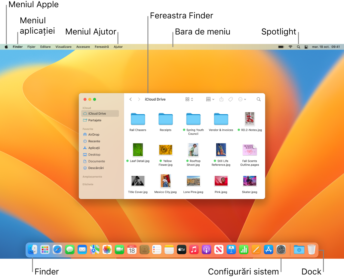 Un ecran Mac afișând meniul Apple, meniul Aplicații, meniul Ajutor, o fereastră Finder, bara de meniu, pictograma Spotlight, pictograma Finder, pictograma Configurări sistem și Dock-ul.