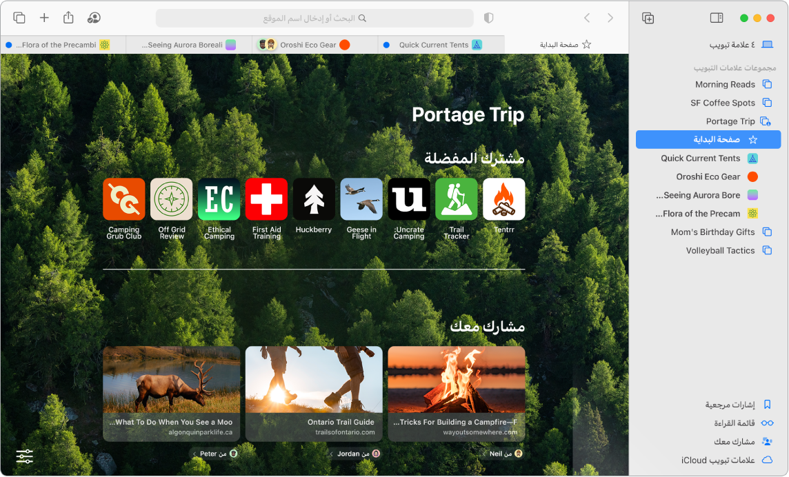 صفحة سفاري تعرض الشريط الجانبي المفتوح، مع عرض قائمة مجموعات علامات التبويب، ومجموعة علامات تبويب مشتركة مفتوحة بها العديد من الروابط، إلى جانب عناصر الشريط الجانبي الإشارات المرجعية وقائمة القراءة ومشارك معك وعلامات تبويب iCloud.