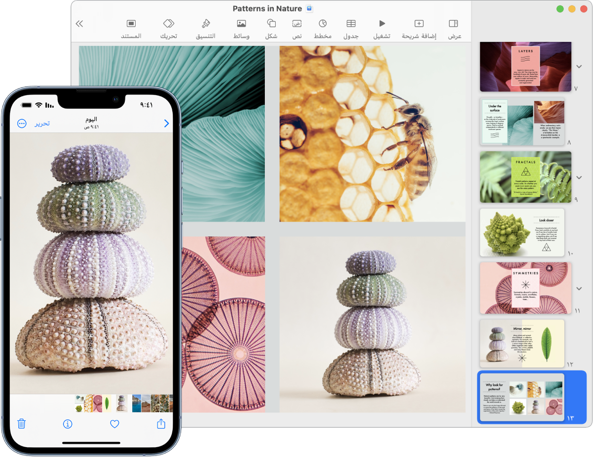 هاتف iPhone يعرض صورة، وبجواره كمبيوتر Mac يعرض الصورة بعد لصقها في عرض Keynote تقديمي.
