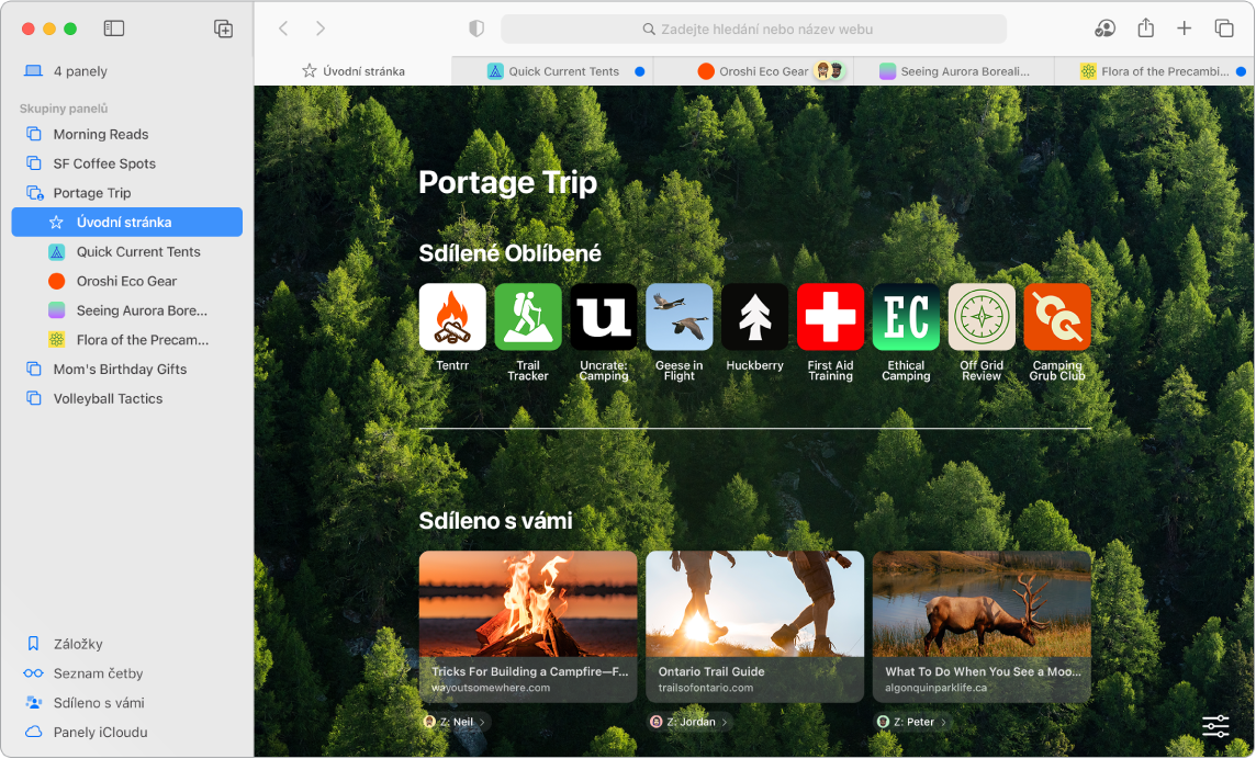 Stránka v Safari s otevřeným bočním panelem, se zobrazenou nabídkou Skupiny panelů, s otevřenou sdílenou skupinou panelů obsahující několik odkazů a s volbami Záložky, Seznam četby, Sdíleno s vámi a Panely iCloudu na bočním panelu