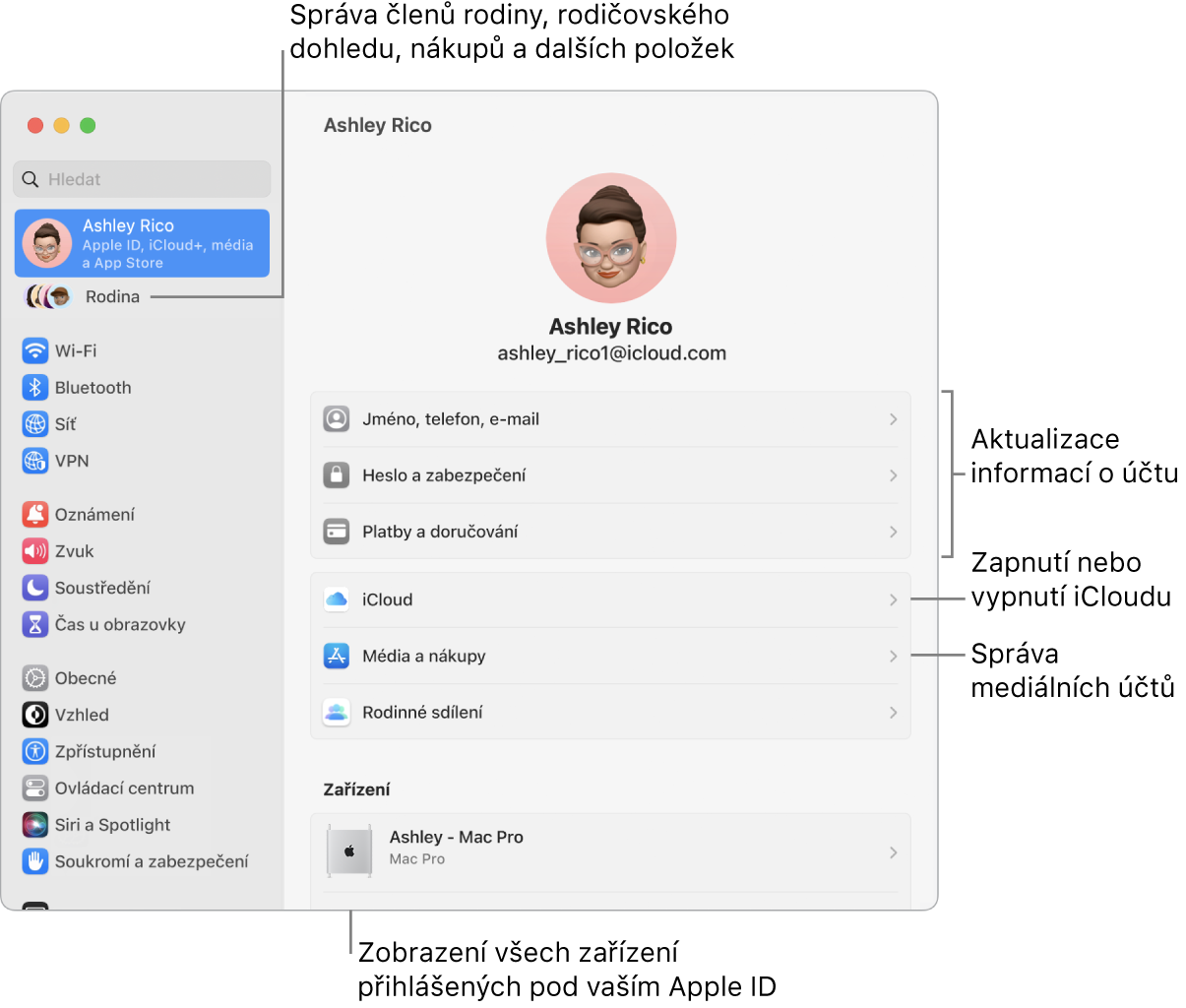 Panel Apple ID v Nastavení systému s popisky pro aktualizaci informací o účtu, zapnutí nebo vypnutí různých funkcí iCloudu a správu účtů pro média a u volby Rodina, která vám umožňuje spravovat členy rodiny, rodičovský dohled, nákupy a další položky