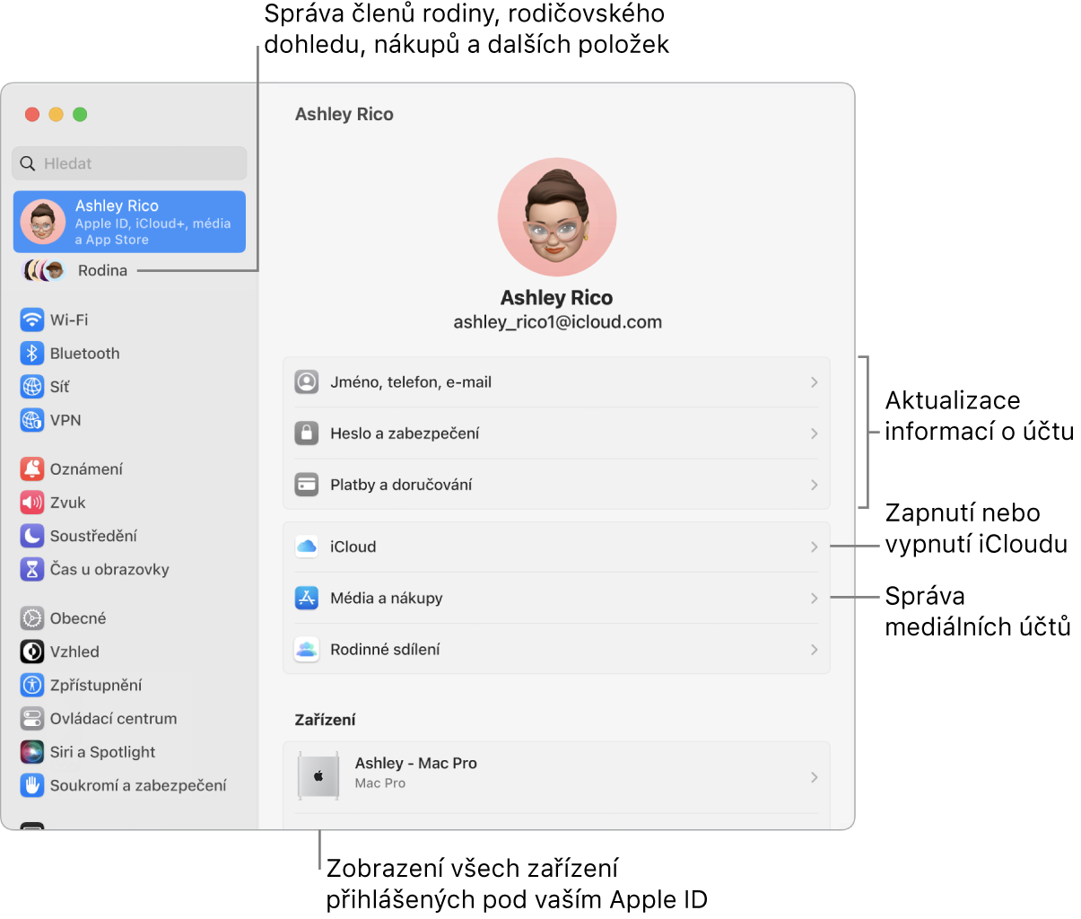Panel Apple ID v Nastavení systému s popisky pro aktualizaci informací o účtu, zapnutí nebo vypnutí různých funkcí iCloudu a správu účtů pro média a u volby Rodina, která vám umožňuje spravovat členy rodiny, rodičovský dohled, nákupy a další položky