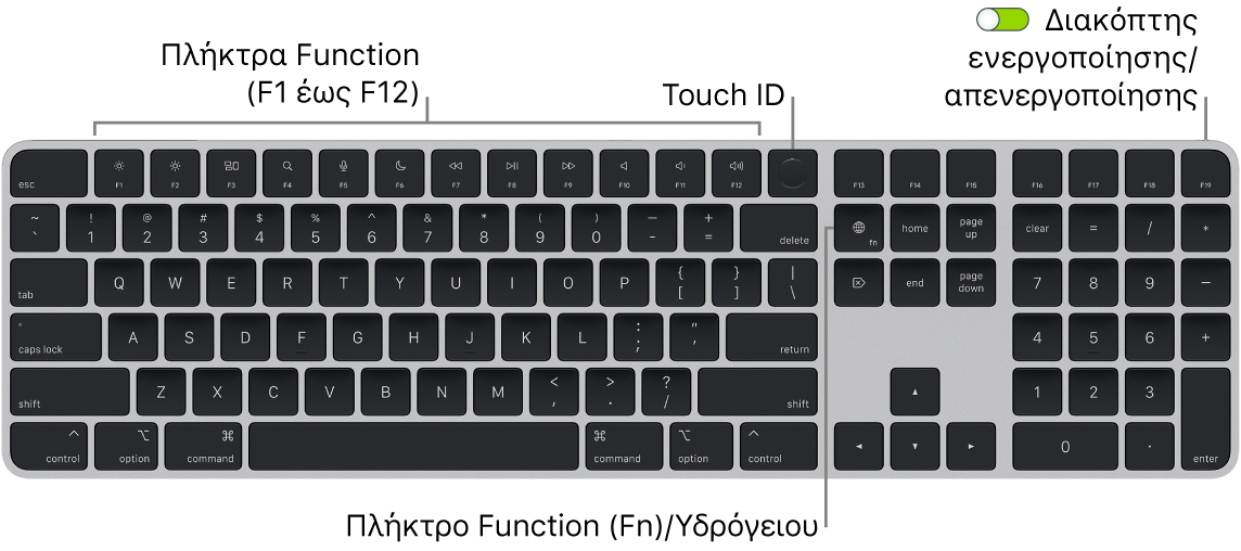 Το Magic Keyboard με Touch ID και αριθμητικό πληκτρολόγιο όπου φαίνονται η σειρά πλήκτρων λειτουργιών και το Touch ID στο πάνω μέρος, και το πλήκτρο Function (Fn)/Υδρογείου στα δεξιά του πλήκτρου Delete.