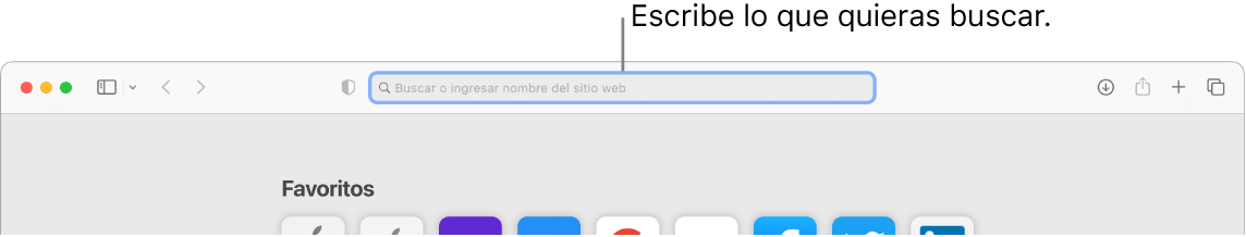 Una ventana de Safari recortada con texto indicando el campo de búsqueda en la parte superior de la página.