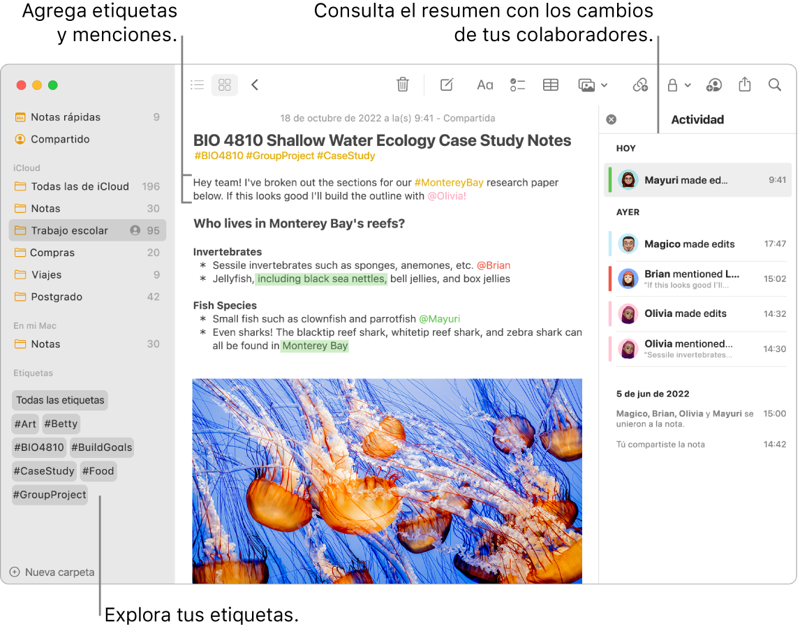 Una ventana de Notas en la visualización como galería con texto indicando las etiquetas en la barra lateral. En la nota principal, hay texto que indica una etiqueta y una mención. En la parte derecha hay una lista de actividades con texto indicando la visualización de un resumen de las actualizaciones.