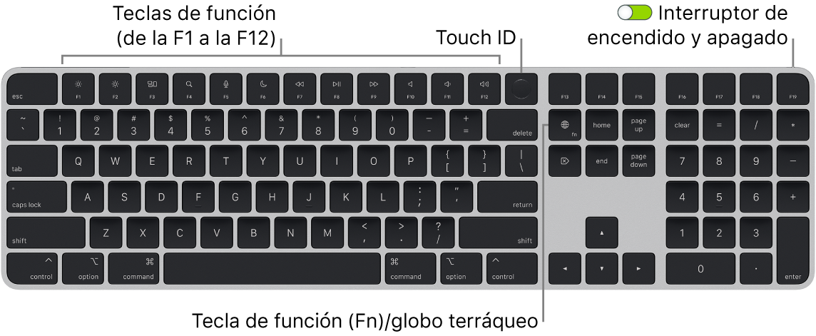 Magic Keyboard con Touch ID y teclado numérico, con la fila de teclas de función y Touch ID en la parte superior, y la tecla del globo terráqueo o función (Fn) a la derecha de la tecla Suprimir.