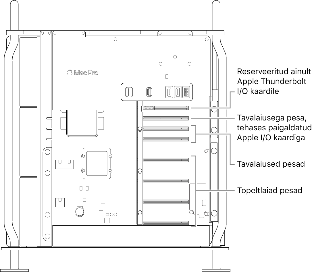 Mac Pro külg on avatud väljaviikudega neljale topeltlaiale pesale, tavalaiusele Apple I/O kaardi pesale ning Thunderbolt I/O kaardi pesale.