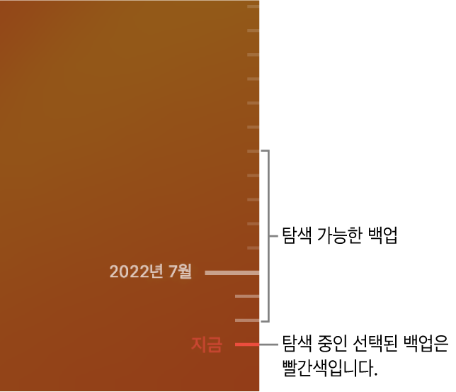 Time Machine 백업 타임라인.