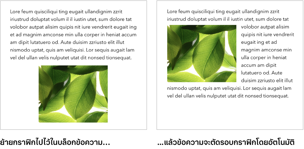 หน้าต่าง Pages ที่แสดงวิธีที่ข้อความจัดเรียงอยู่รอบๆ กราฟิก