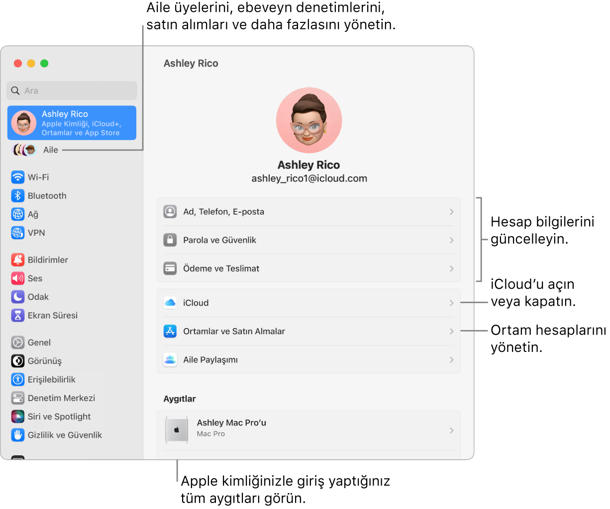 Hesap bilgilerini güncellemeye, iCloud özelliklerini açma veya kapatmaya, ortam hesaplarını yönetmeye ve aile üyelerini, ebeveyn denetimlerini, satın alımları ve daha fazlasını yönetebileceğiniz Aile’ye belirtme çizgileri ile Sistem Ayarları’nda Apple Kimliği bölümü.