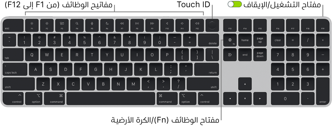 لوحة مفاتيح ماجيك المزودة ببصمة الإصبع ولوحة مفاتيح رقمية يظهر فيها صف مفاتيح الوظائف و بصمة الإصبع على امتداد الجزء العلوي، ومفتاح الوظائف (Fn)/الكرة الأرضية على يمين مفتاح الحذف.