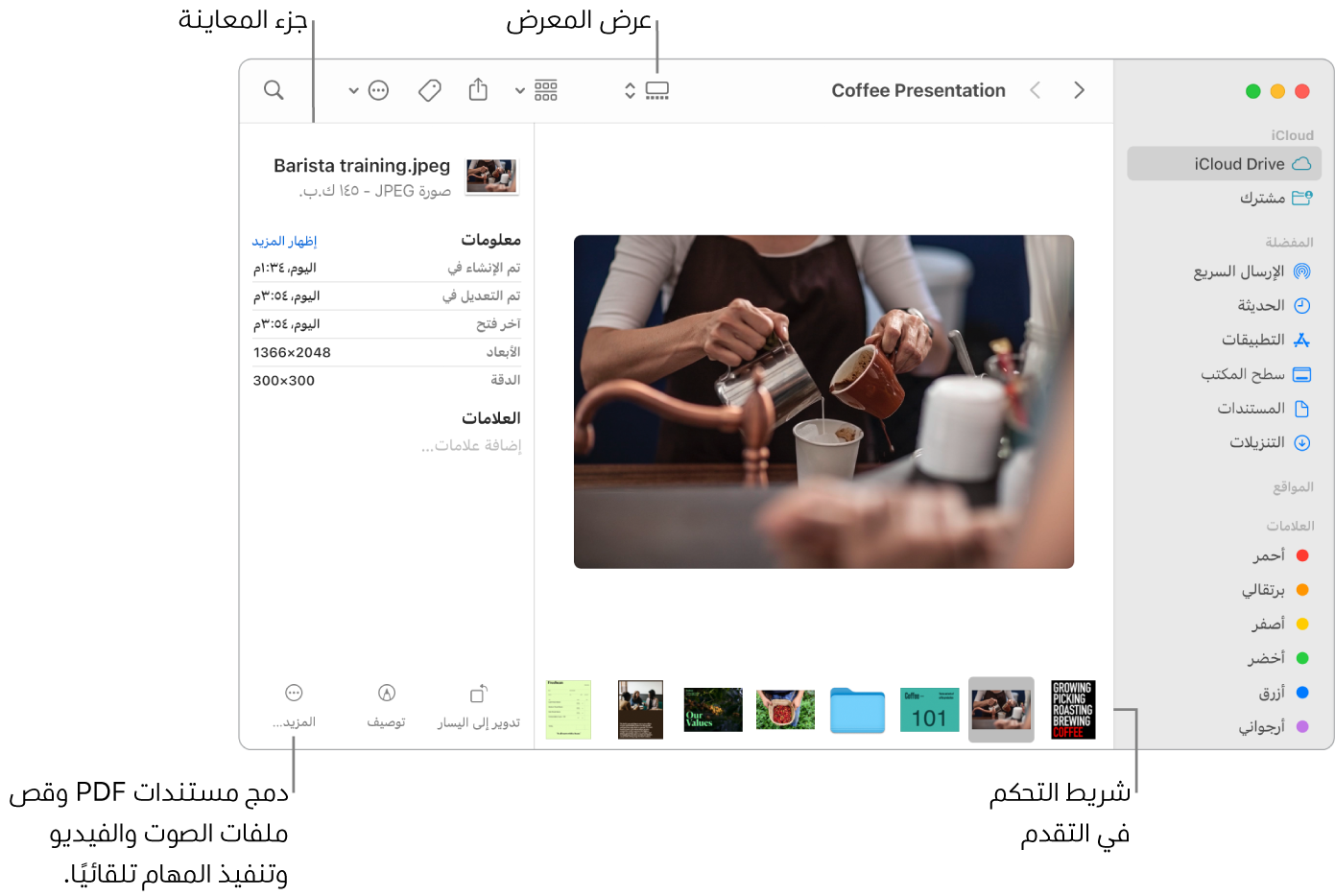 نافذة Finder مفتوحة في عرض المعرض وتظهر فيها صورة كبيرة وأسفلها صف من الصور الصغيرة، وهو شريط التحكم في التقدم. وتظهر على يسار شريط التحكم في التقدم عناصر تحكم للتدوير والتوصيف والمزيد.