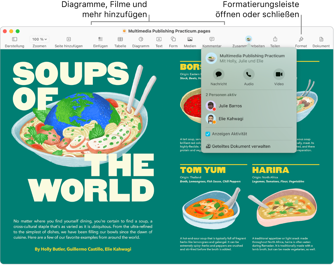 Ein Pages-Fenster zeigt den Aktivitätenstream unter der Taste „Zusammenarbeiten“ in der Symbolleiste, zwei Personen sind aktiv. Es gibt Beschreibungen zum Hinzufügen von Diagrammen, Filmen und mehr in der Symbolleiste sowie eine Beschreibung zum Öffnen oder Schließen der Seitenleisten „Format“.