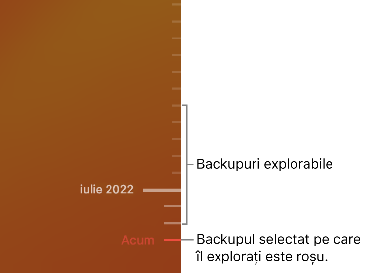 Cronologia backupurilor Time Machine.