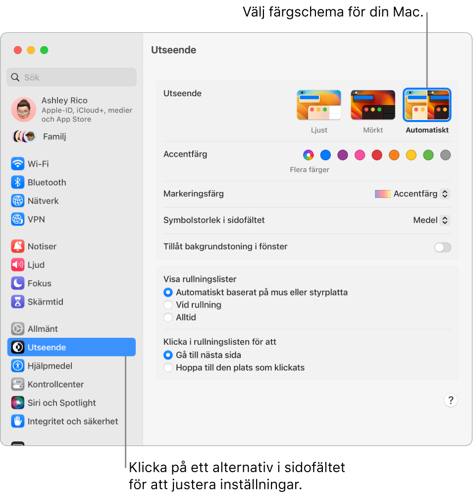 Systeminställningsfönstret.