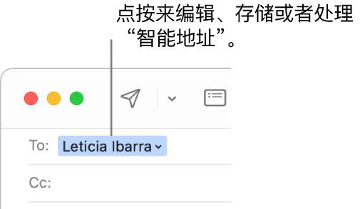 带有箭头的智能地址，你可以点按该箭头来编辑、存储或使用“智能地址”。