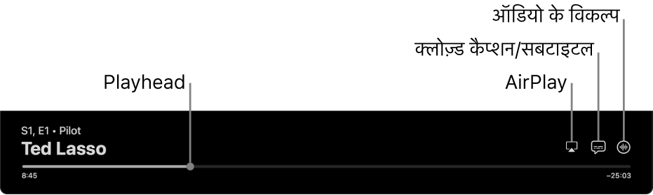 प्लेबैक नियंत्रण