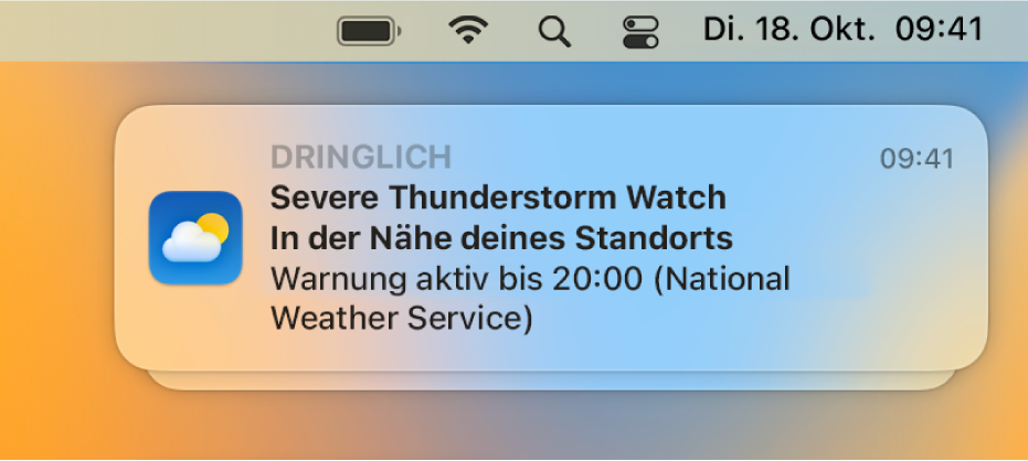 Eine Mitteilung über eine Warnung des Nationalen Wetterdienstes vor einem schweren Gewitter.