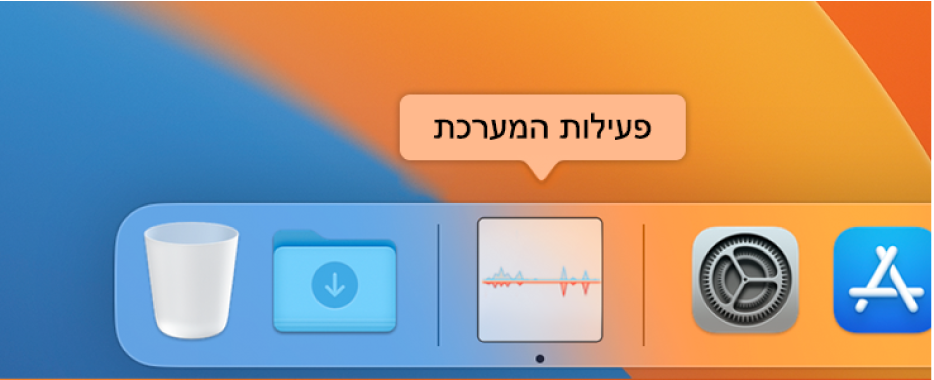 האייקון ״פעילות המערכת״ ב-Dock המציג את השימוש ברשת.