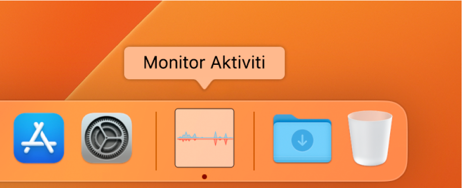 Ikon Monitor Aktiviti dalam Dock menunjukkan penggunaan rangkaian.