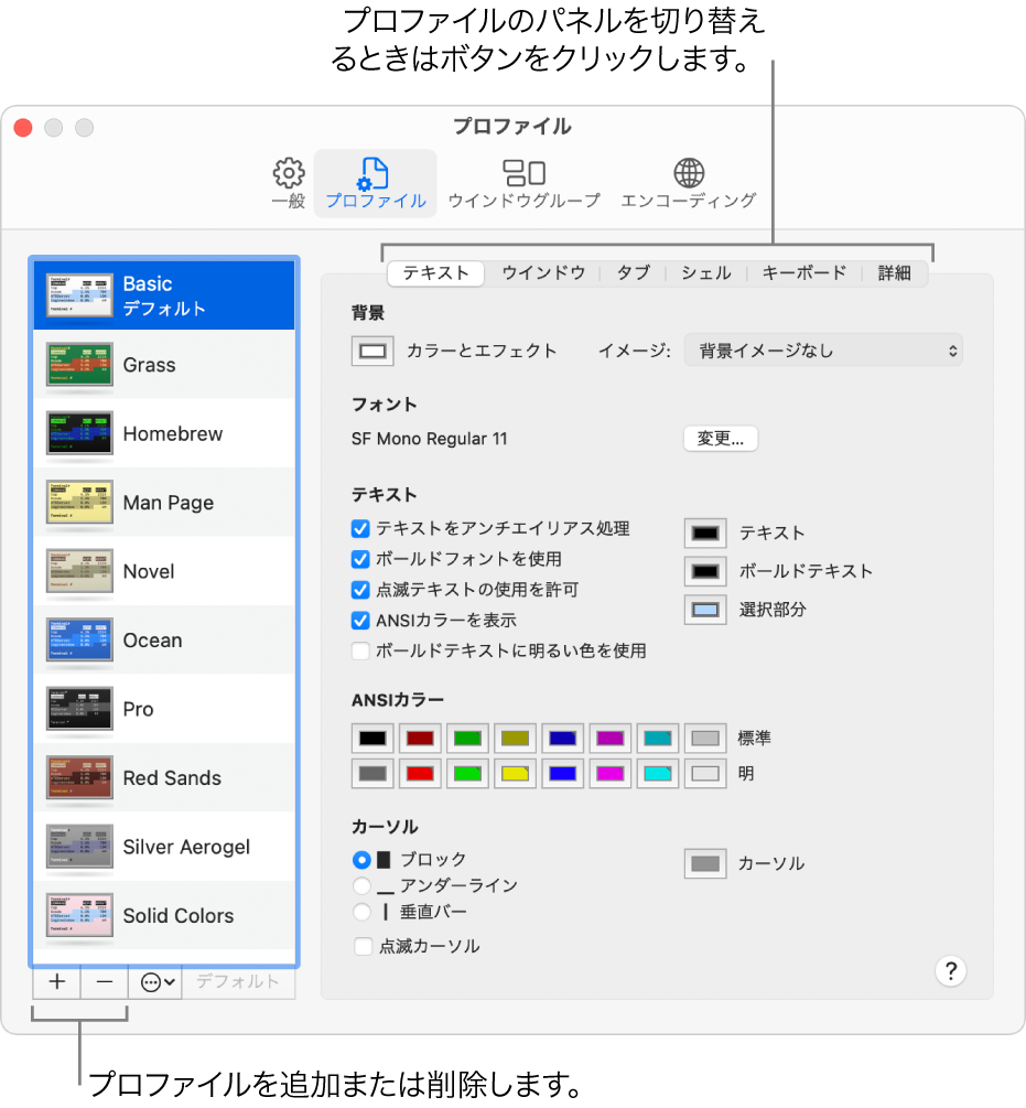 「ターミナル」の「プロファイル」パネル。「Basic」プロファイルが選択され、プロファイルを追加/削除するボタン、「プロファイル」パネルの切り替えに使用するボタンが表示されています。