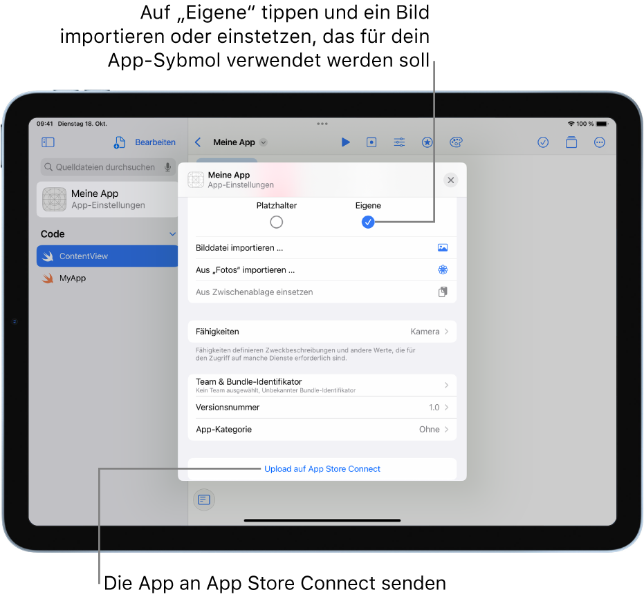 Das Fenster „App-Einstellungen“ für eine App Du kannst die Steuerelemente in diesem Fenster verwenden, um deine App zu identifizieren und zu App Store Connect hochzuladen.