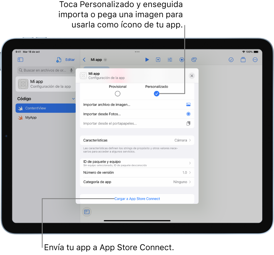 La ventana Configuración de la app de una app. Puedes usar los controles de esta ventana para identificar tu app y subirla a App Store Connect.